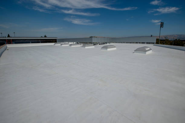 Best Asphalt Shingles Roofing  in Lake Shore, UT