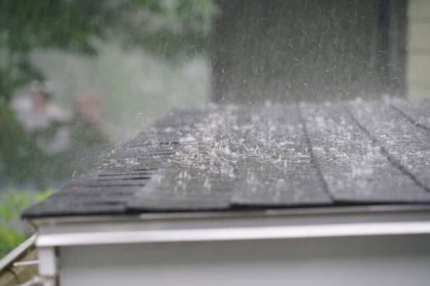 Best Skylight Installation and Repair  in Lake Shore, UT